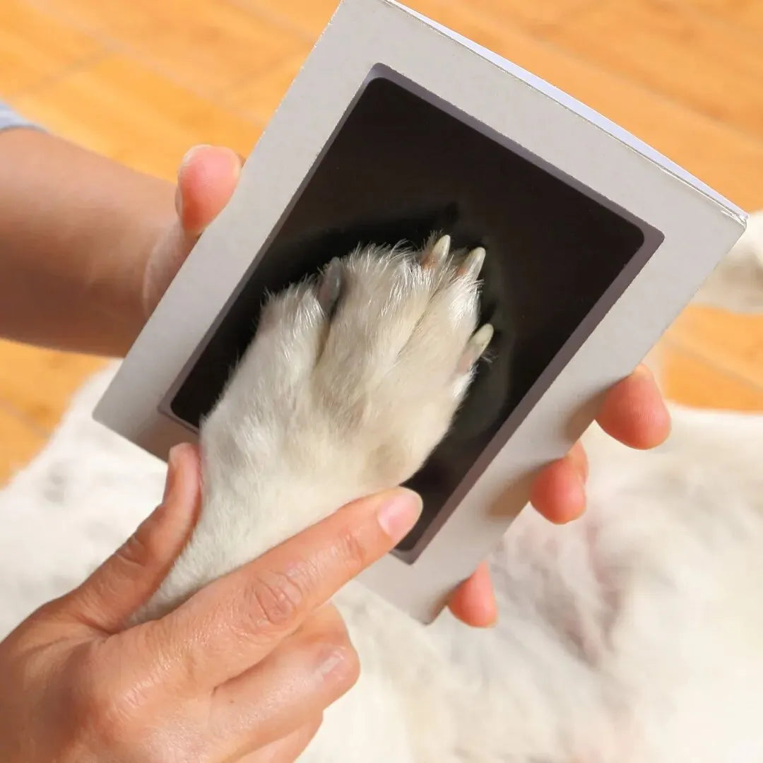 Pawlection™ Pawprint Keepsake Kit – Sky Blue